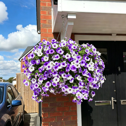 💥Last Day 49% OFF💥UV Resistant Artificial Petunias Flowers