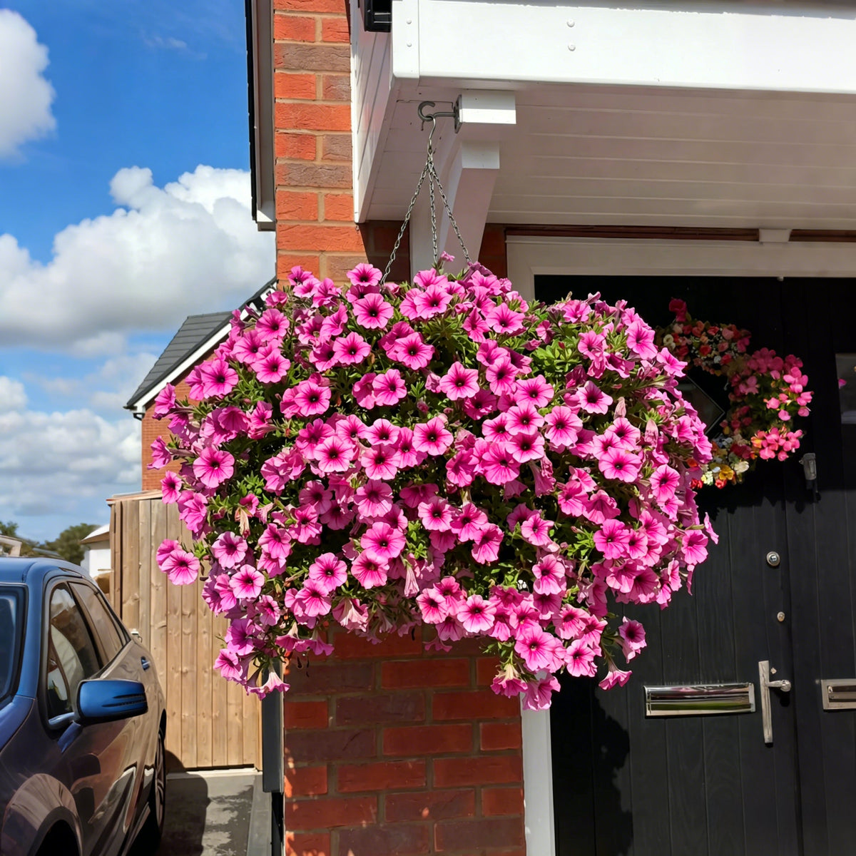 💥Last Day 49% OFF💥UV Resistant Artificial Petunias Flowers