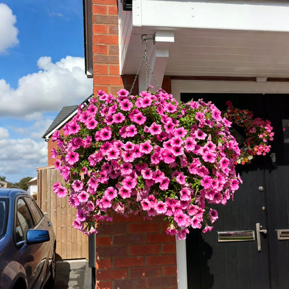 💥Last Day 49% OFF💥UV Resistant Artificial Petunias Flowers