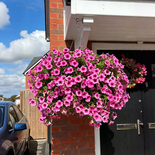 💥Last Day 49% OFF💥UV Resistant Artificial Petunias Flowers