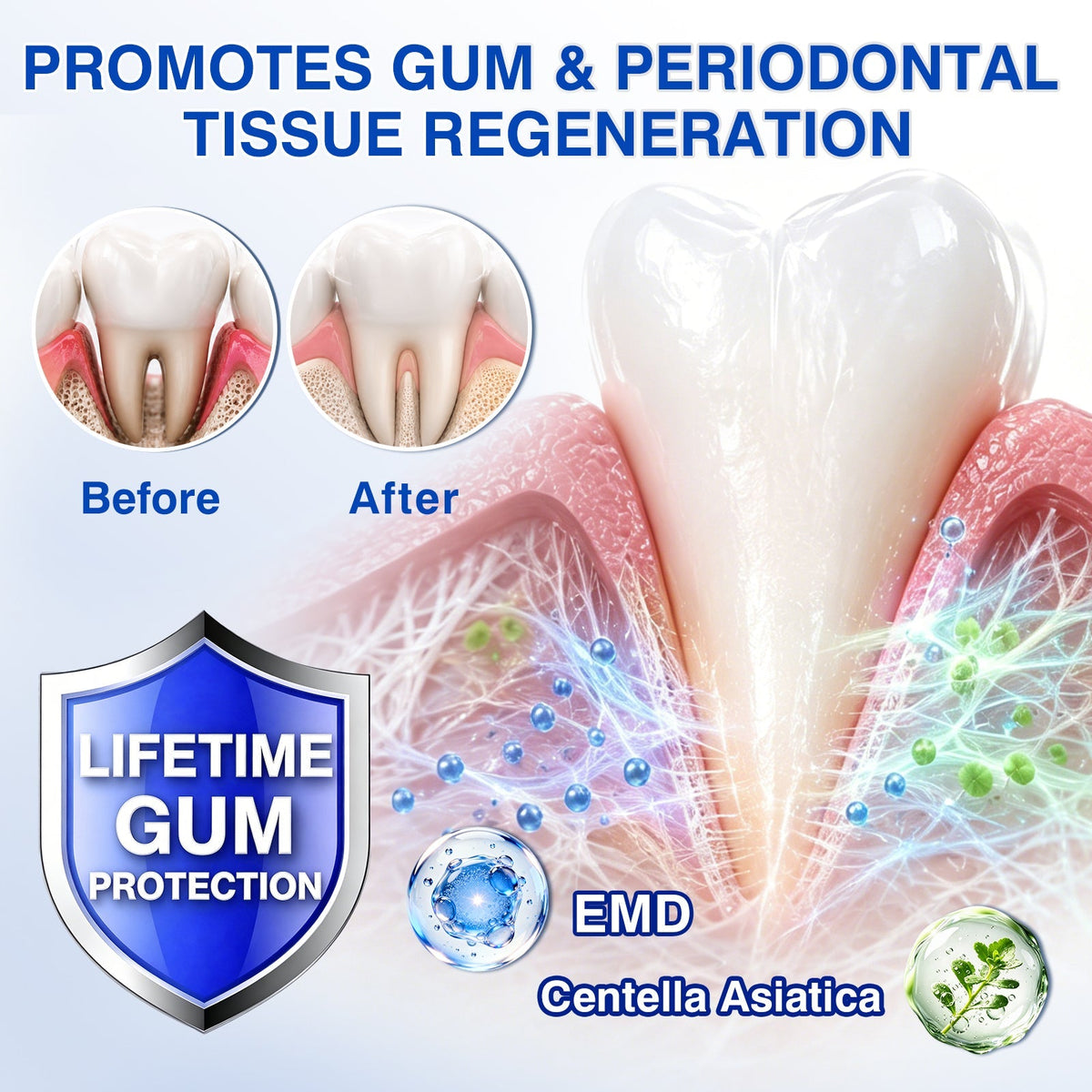 🔥Last Day 49% OFF 🔥Purelora® GumRevive Periodontal Repair Gel