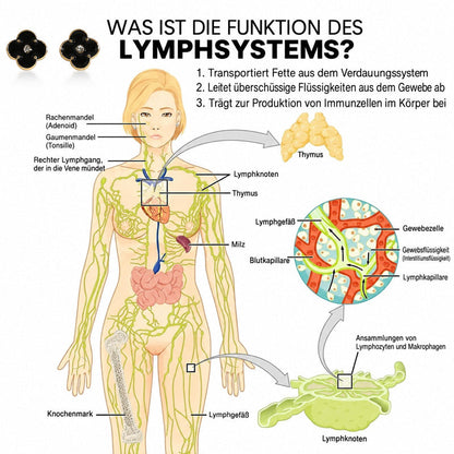 🔥 LETZTER TAG: 80 % RABATT | CZTICLE®  Lymphvity Magnetischen Germanium-Ohrringe