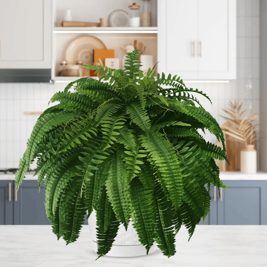 Last Day 49% OFF--UV Resistant Lifelike Artificial Boston Fern