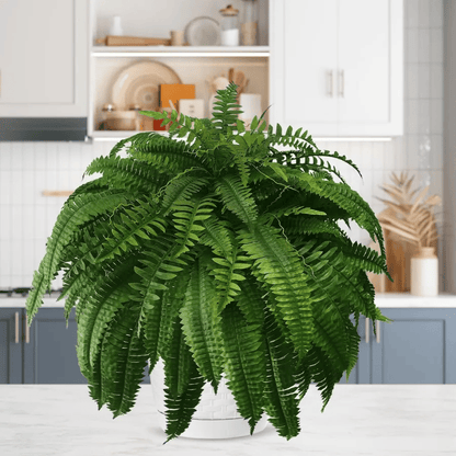 Last Day 49% OFF--UV Resistant Lifelike Artificial Boston Fern