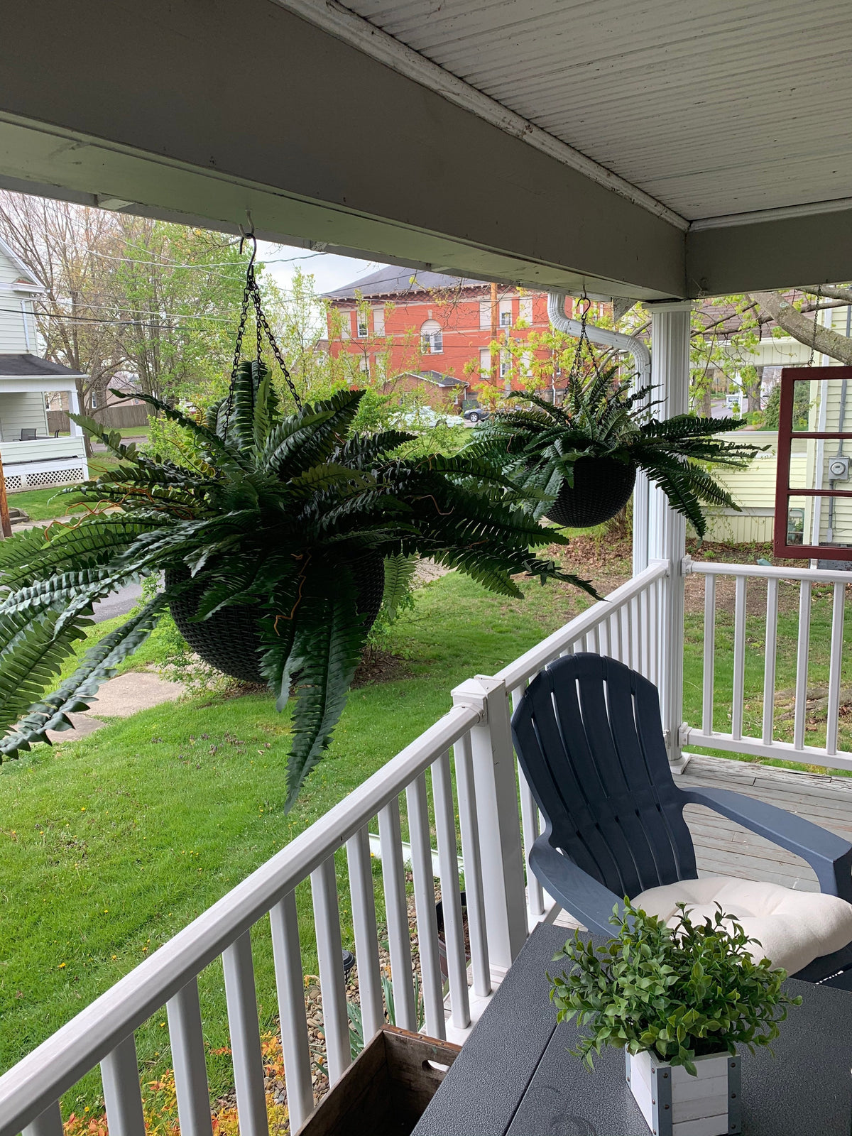Last Day 49% OFF--UV Resistant Lifelike Artificial Boston Fern