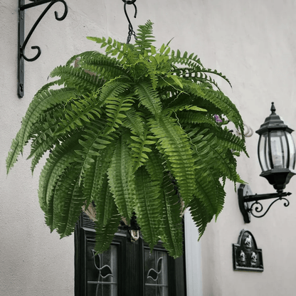 Last Day 49% OFF--UV Resistant Lifelike Artificial Boston Fern