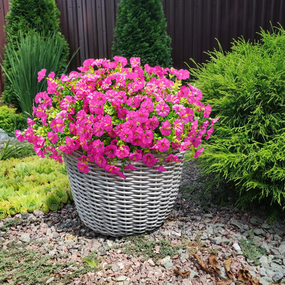 💥Last Day 49% OFF💥UV Resistant Artificial Petunias Flowers